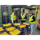 FOTOĞRAF BÖYLE GÖRÜNÜYOR