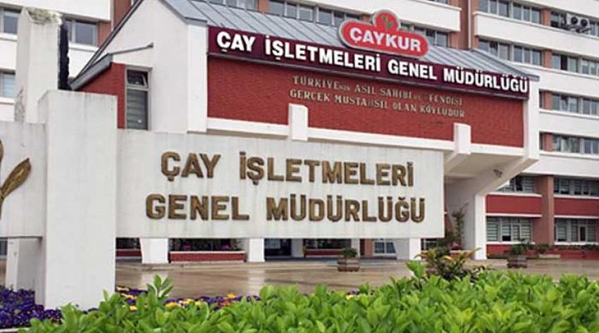 ÇAYKUR 1000’e Yakın Mevsimlik İşçi Alacak