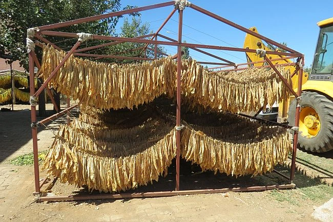 Tütün sektörü 2024 yılında 1 milyar dolar ihracat hedefliyor