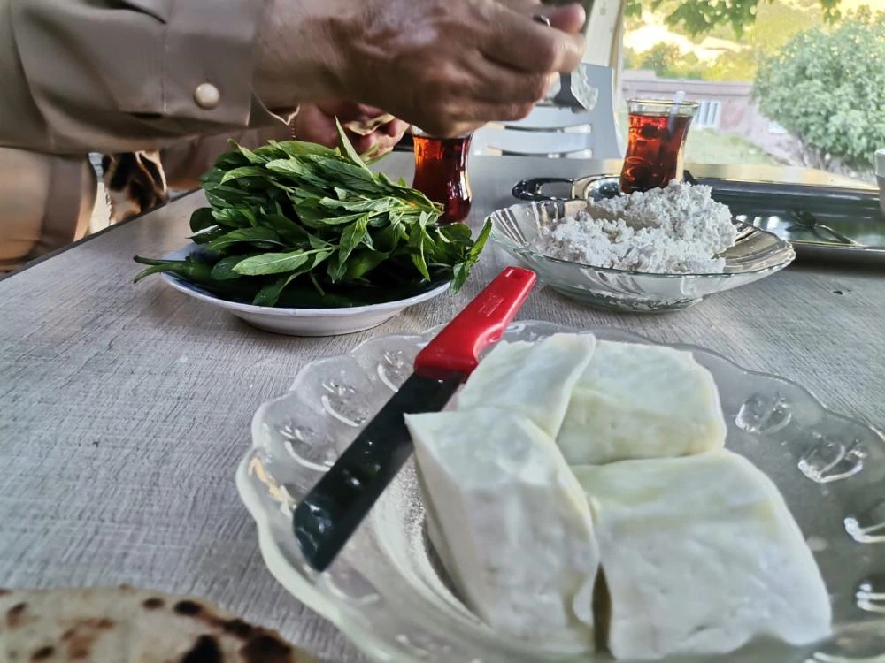 PAZARCIK’TA YAYLALARDA KEÇİ PEYNİRİ ÜRETİMİ BAŞLADI