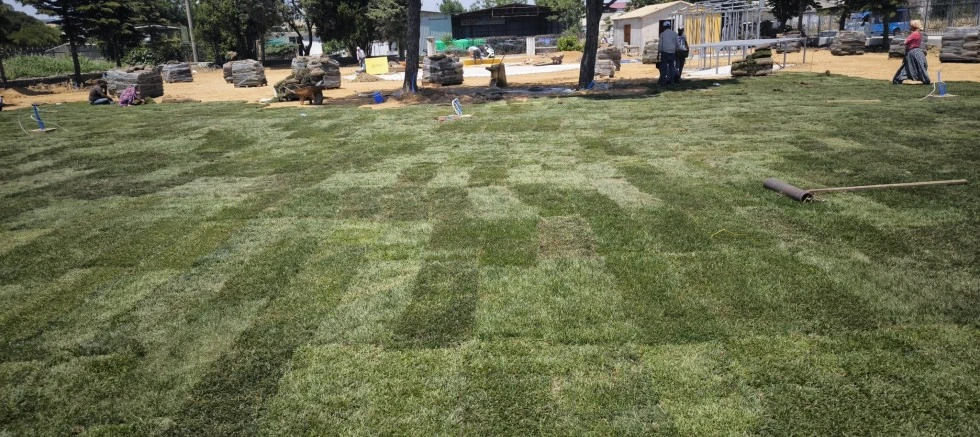 Gelibolu Belediyesinin Çimen Açık Hava Düğün Yeri 19 Haziran’da Faaliyete Geçiyor