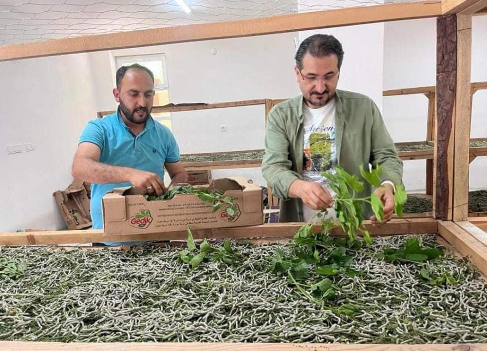 Genç`li Girişimci Topluk’tan İpekböcekçiliğine Yönelme Tavsiyesi