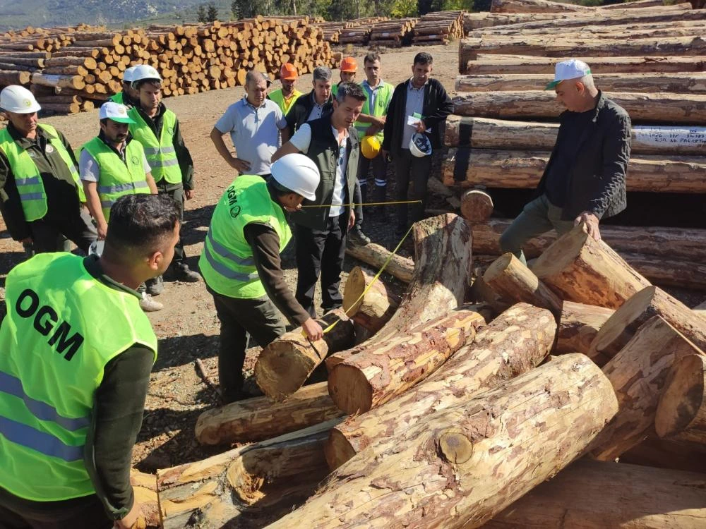 Orman İşletme Müdürlüklerinde İş Güvenliği ve Verimlilik İçin Eğitim Tamamlandı