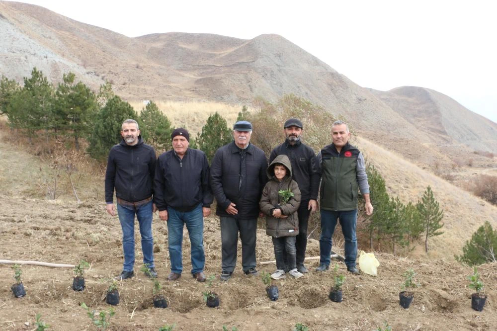 Cesur Girişimciler Hakkari’de Çay Ekimi İçin Harekete Geçti