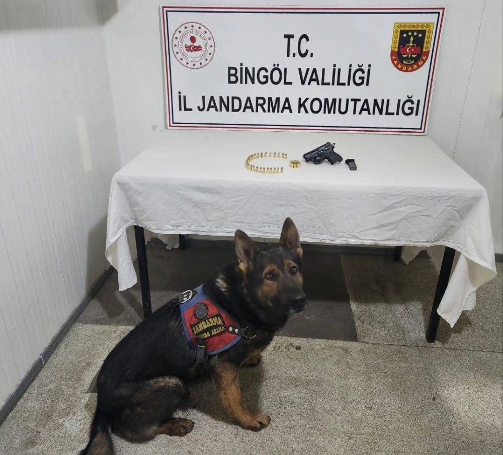 Bingöl Jandarması’ndan Operasyon: Silah ve Mühimmat Ele Geçirildi