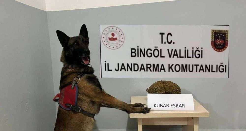 Bingöl’de Uyuşturucu Operasyonu: Metamfetamin ve Esrar Ele Geçirildi