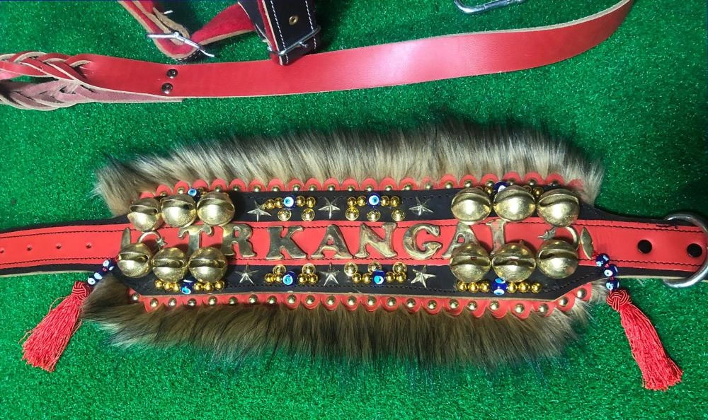 Beypazarlı Usta’nın El Emeği Köpek Tasmaları Yurt Dışına Açıldı