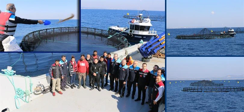 Adana'dan Dev Adım: Denizde Kafes Balıkçılığı Projesi Hayata Geçiyor