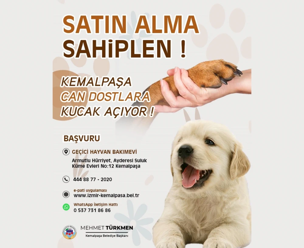 Kemalpaşa Belediye Başkanı Türkmen’den Sokak Hayvanları İçin Sahiplendirme Çağrısı