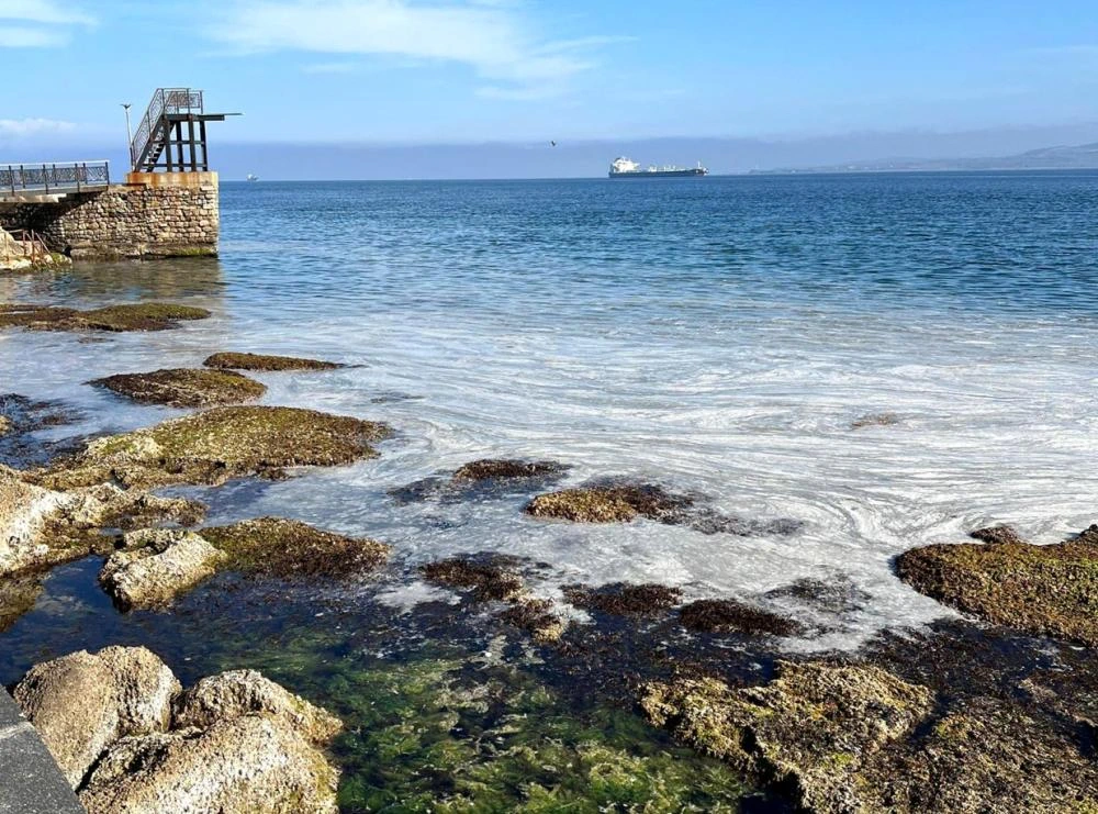 Marmara’da Müsilaj Kabusu: Gelibolulu Balıkçılar Kaygılı