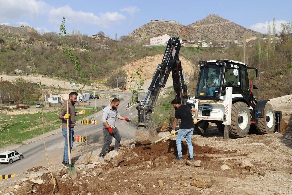 Çukurca Yeşilleniyor: Belediye Fidanlarla Geleceğe Nefes Oluyor
