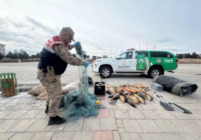 Kaçak Balık Avcısına 221 Bin TL Ceza: Ekipler Harekete Geçti