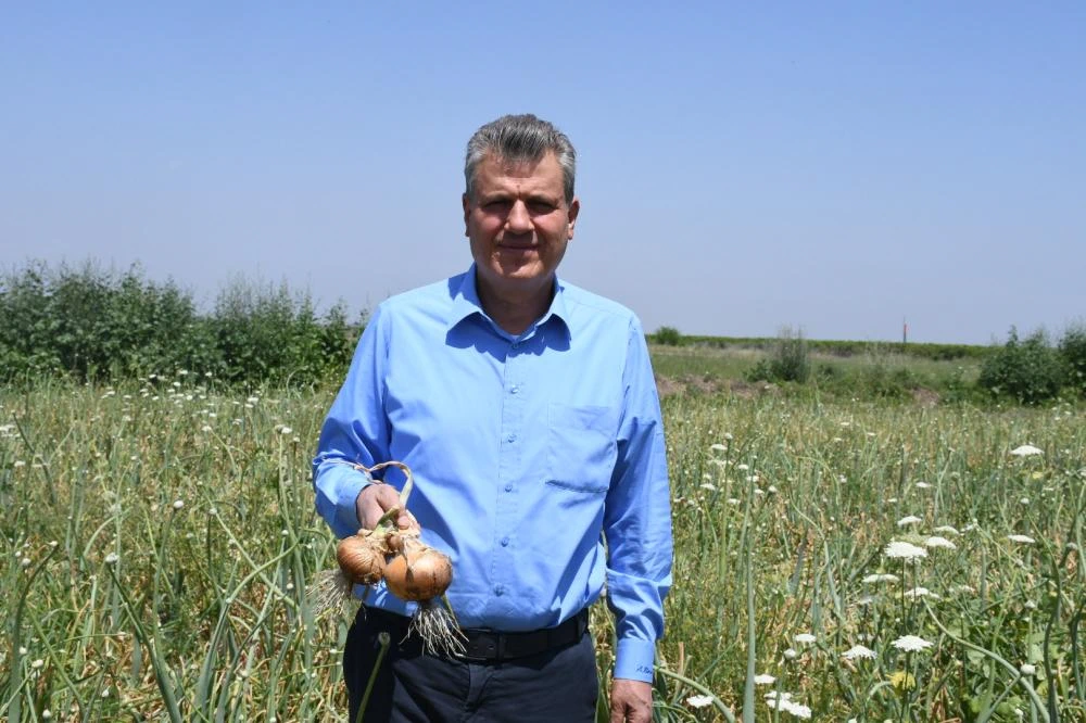 Soğanda Büyük Kriz: Üretici Zarar Ediyor, Tüketici Pahalıya Alıyor