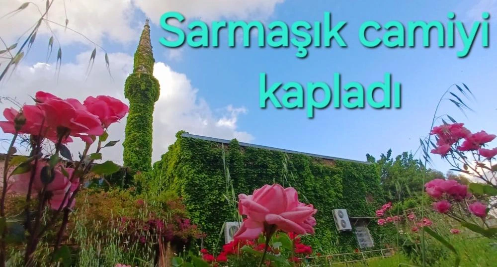 Adana'nın "Yeşil Camii"si Baharla Birlikte Büyüleyici Bir Güzelliğe Büründü