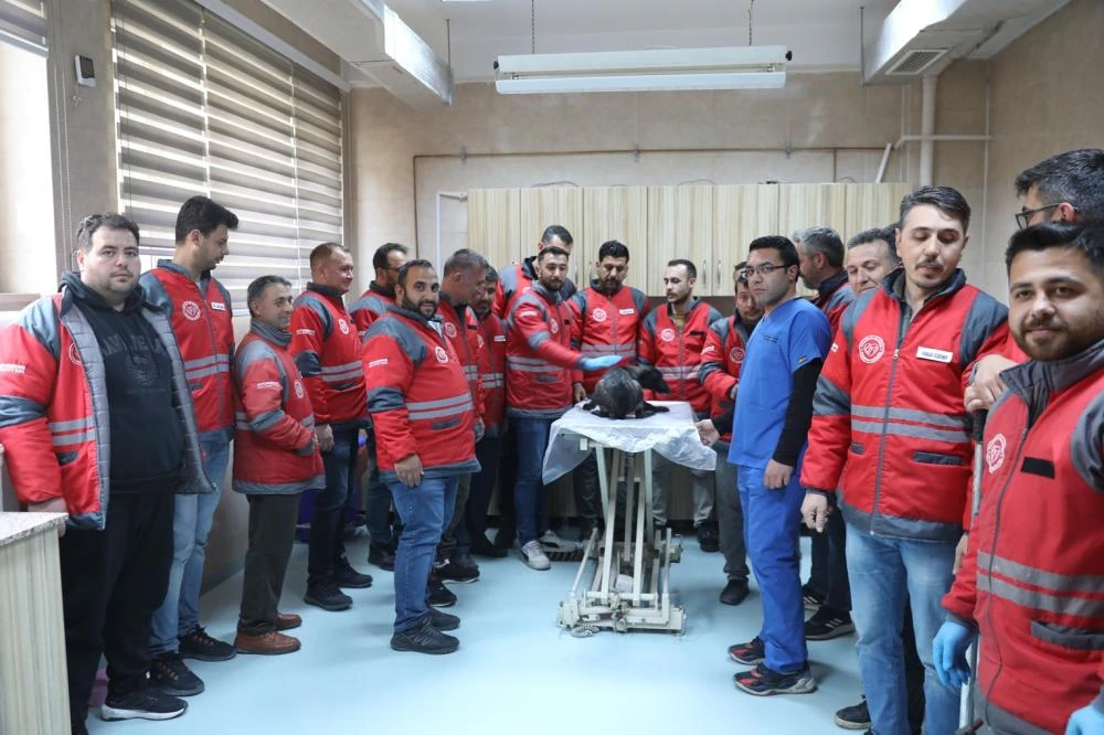 KOCASİNAN BELEDİYESİ’NDEN VETERİNERLİK PERSONELİNE SERTİFİKALI EĞİTİM