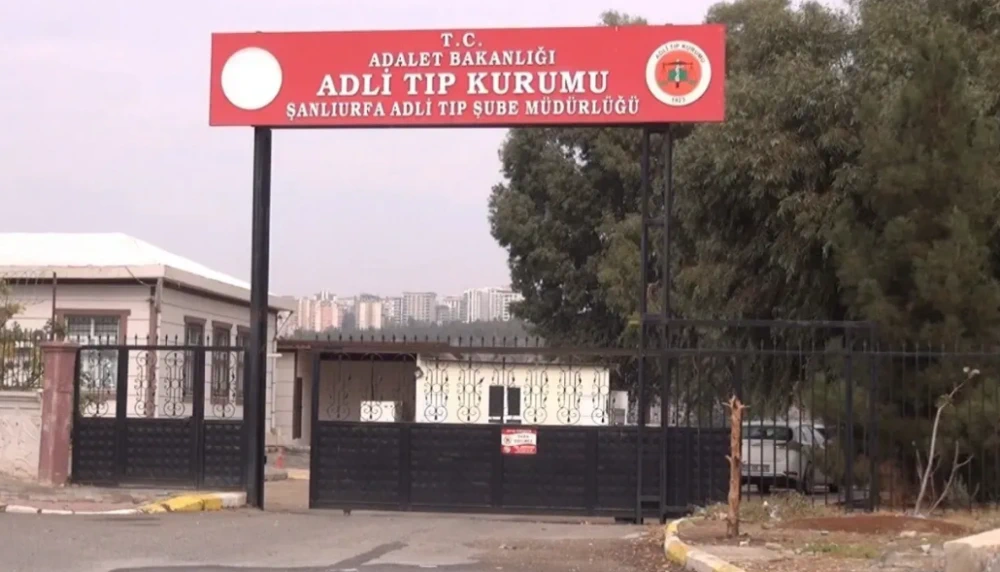 Talihsiz Son! Şanlıurfa'da Otomobilin Çarptığı Genç Hayatını Kaybetti