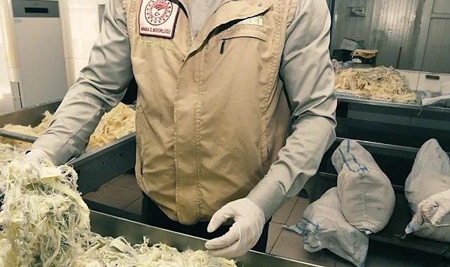 Gıda Denetiminde Şok Baskın! Küflü ve Taklit Ürünler Ele Geçirildi