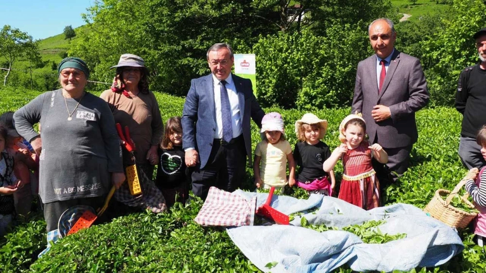 ÇAYKUR’un “Çocuk Çay Hasadı Şenliği” Renkli Görüntülere Sahne Oldu