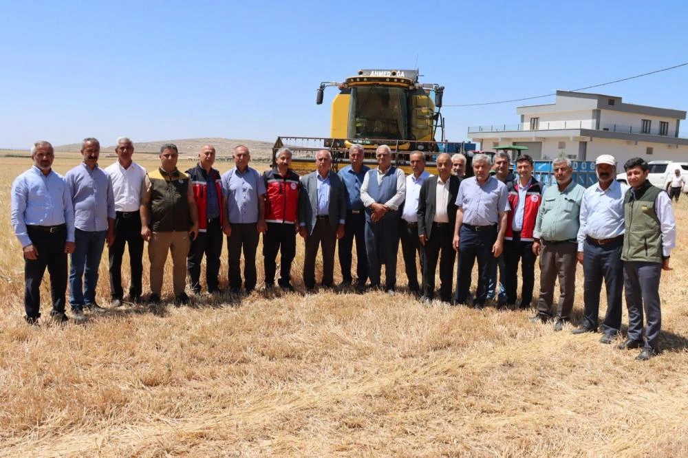 Adıyaman Kuyulu Köyü’nde 2025 Yılının İlk Arpa Hasadı Yapıldı