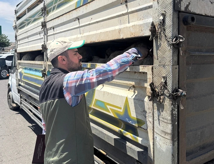 Şanlıurfa'da Hayvan Sağlığı İçin Sıkı Denetim ve Kontroller Başladı!