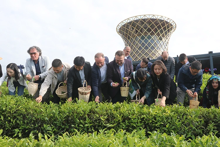 Rize’de Uluslararası Çay Günü’ Etkilikleri Yapıldı