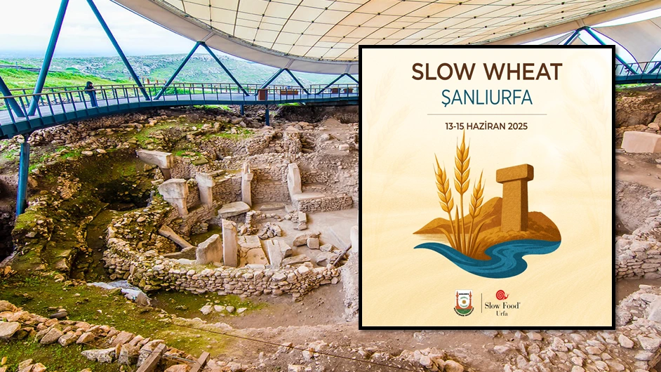 Buğdayın Ana Vatanı Şanlıurfa'da Slow Wheat Festivali Başlıyor!