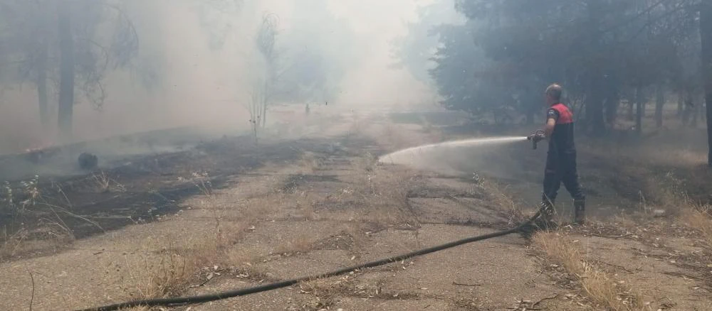 Şanlıurfa’nın Bozova İlçesinde Orman Yangını Kısa Sürede Söndürüldü