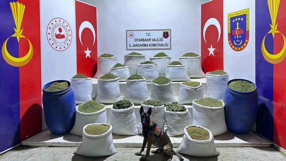 Diyarbakır’da Zehir Tacirlerine Darbe: 3,4 Milyon Kök Kenevir Ele Geçirildi!