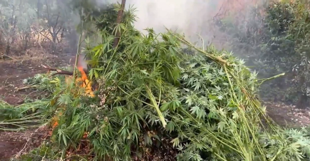 Diyarbakır'da 645 Jandarma ile Zehir Tacirlerine Büyük Operasyon