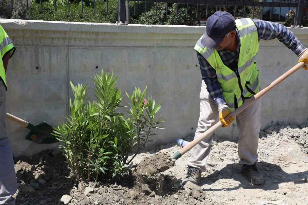 HBB, HATAY’I YEŞİLİN HER TONUYLA BULUŞTURUYOR