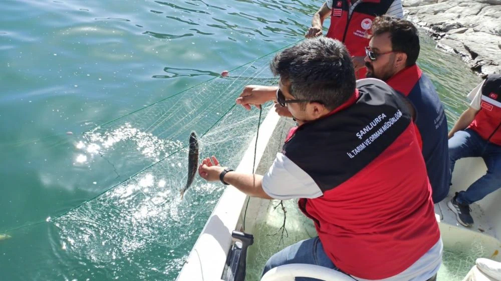 Şanlıurfa Dahil 7 İl'de Balıkçılık Denetimi! Kurallara Uymayana Ceza Yağdı