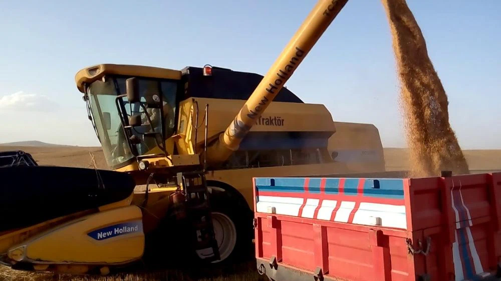 Şanlıurfa'da Buğday Rekor Kırdı, Üretici Taban Fiyat Bekliyor