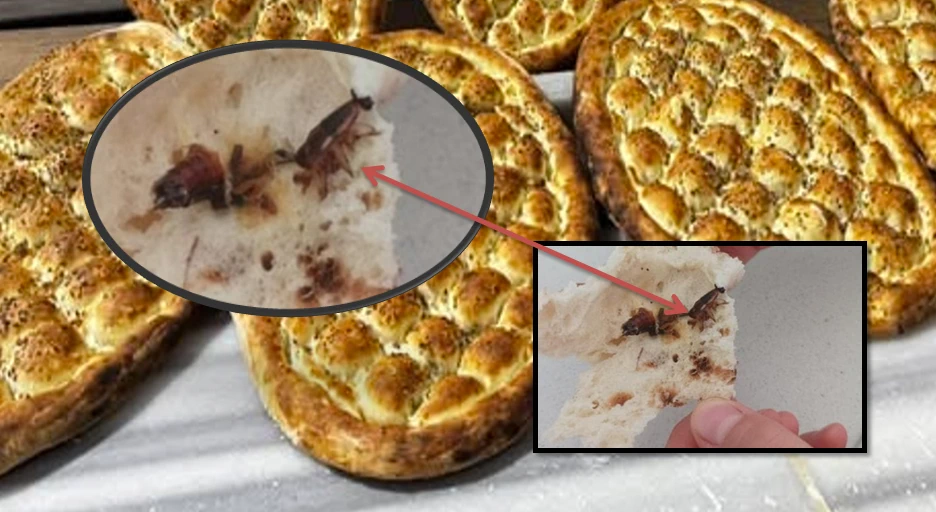 Şanlıurfa'da Gıda Skandalı, Fırından Ekmek İçinden Hamam Böceği Çıktı!
