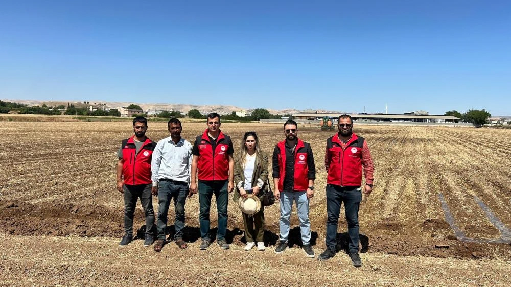 Şanlıurfa\'da Pamuk Tarlasına Hümik Asit Desteği!