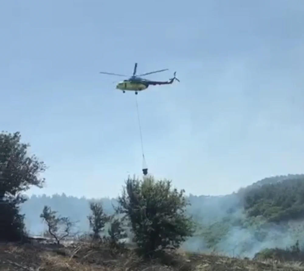 Gelibolu\'daki ekili arazi yangını söndürüldü