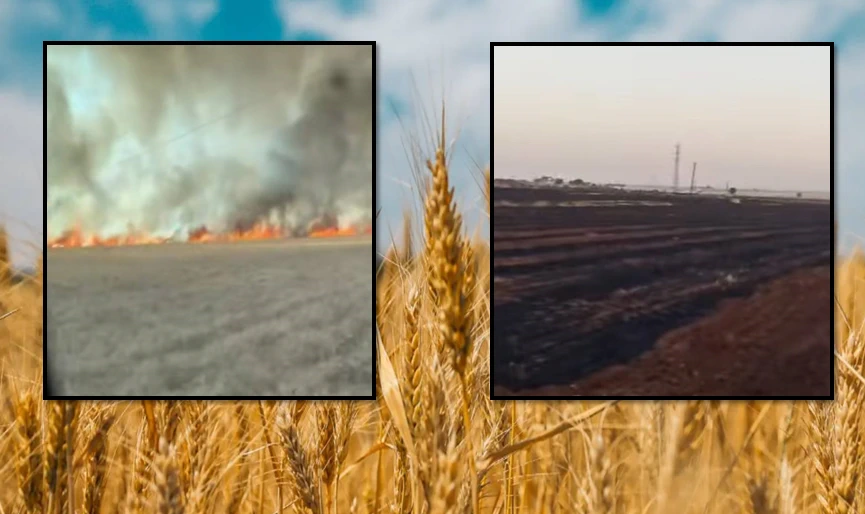 Şanlıurfa\'da Çiftçinin Emeği Alevlere Teslim Oldu!