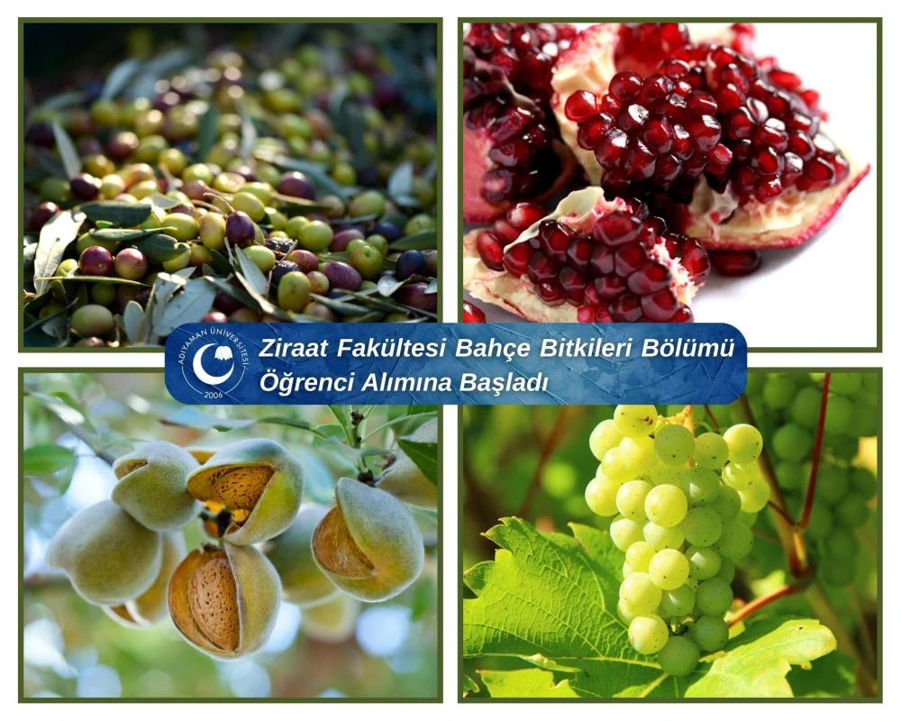 Adıyaman Tarımına Akademik Destek: Ziraat Fakültesi Bahçe Bitkileri Bölümü Öğrenci Alımına Başlıyor