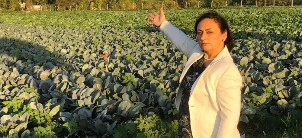 CHP’li Şevkin’den Kuraklık ve Tarım Uyarısı: “Çiftçi Yıkıldı, Hayvancılık Bitiyor”