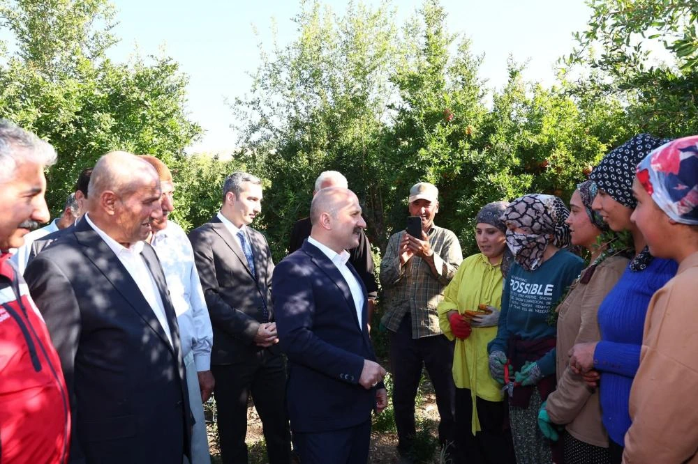 Samsat Göltarla Köyü\'nde Nar Hasadı Başladı