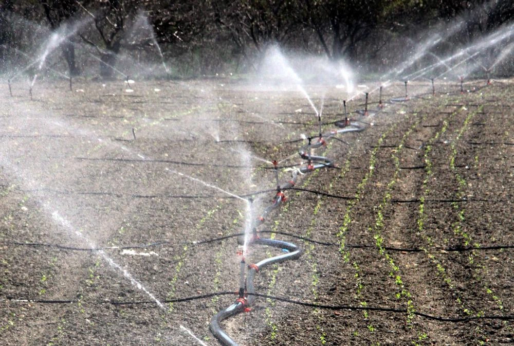 Beypazarı Ziraat Odası başkanı Mustafa Ateş: “artık damla sulama sistemi yöntemine geçmeliyiz”