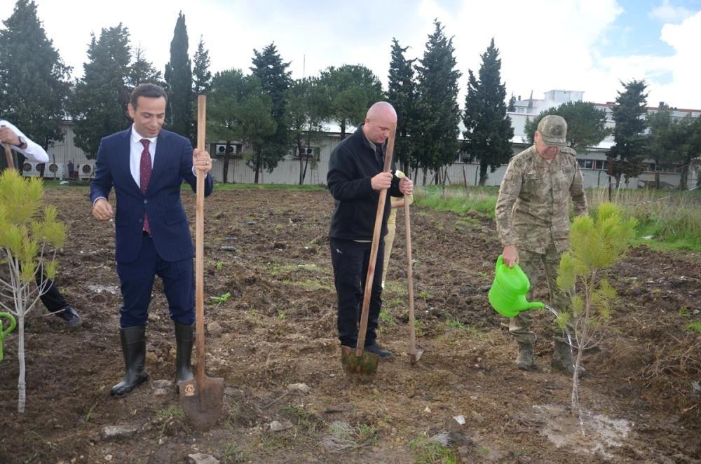 Gelibolu’da 250 Fidan Toprakla Buluştu