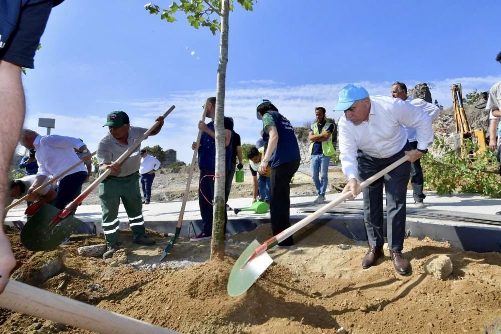 FATİH’TE YEŞİL SEFERBERLİK 2500 AĞAÇ TOPRAKLA BULUŞTU