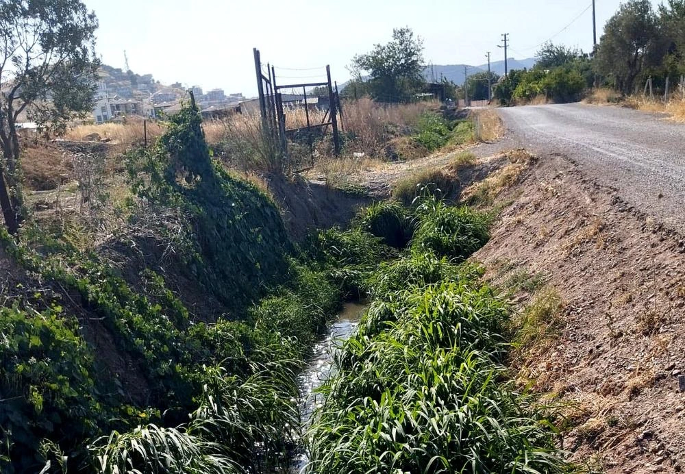 GEDİZ NEHRİ İÇİN İMZA KAMPANYASI