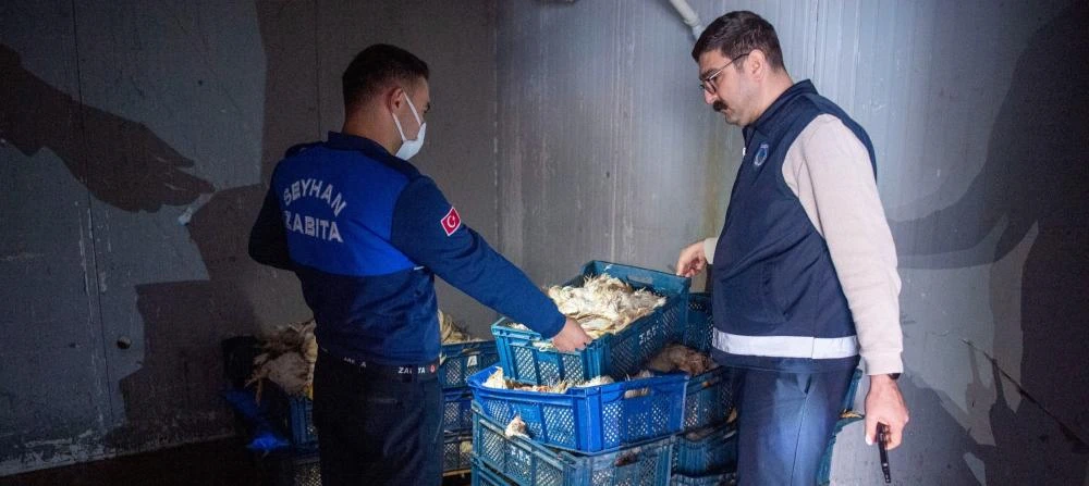 Seyhan Belediyesi Zabıtası, İnsan Sağlığına Yönelik Tehditlere Göz Yummuyor